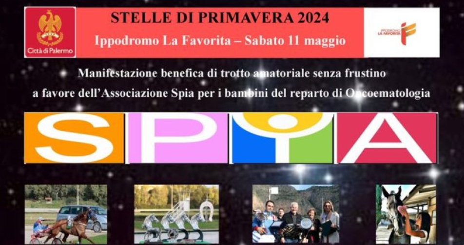Stelle di Primavera